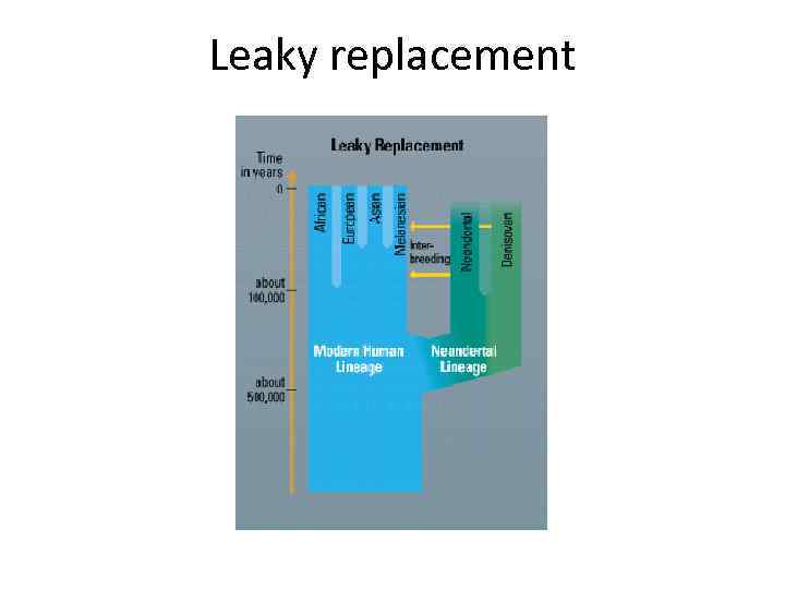 Leaky replacement 