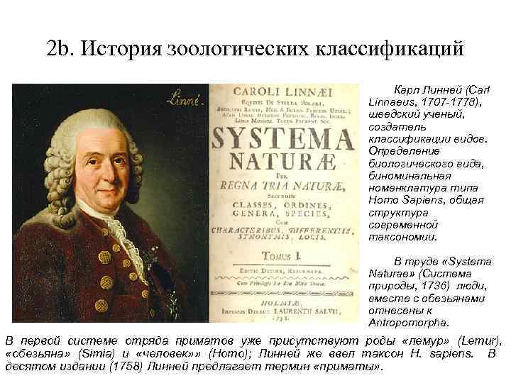 2 b. История зоологических классификаций Карл Линней (Сarl Linnaeus, 1707 -1778), шведский ученый, создатель