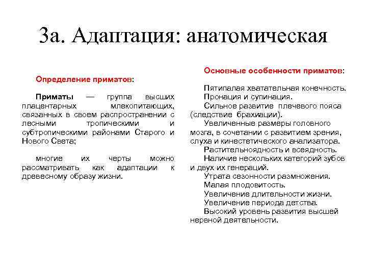 3 a. Адаптация: анатомическая Определение приматов: Приматы — группа высших плацентарных млекопитающих, связанных в