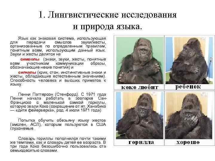 1. Лингвистические исследования и природа языка. Язык как знаковая система, использующая для передачи смыслов