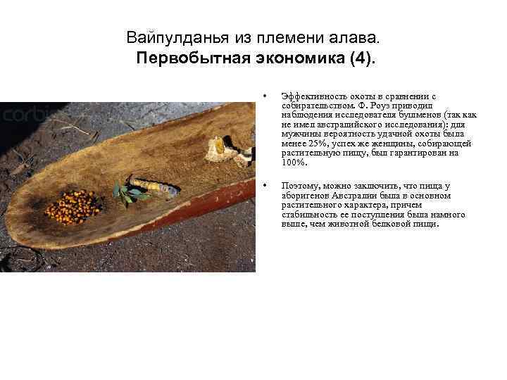 Вайпулданья из племени алава. Первобытная экономика (4). • Эффективность охоты в сравнении с собирательством.