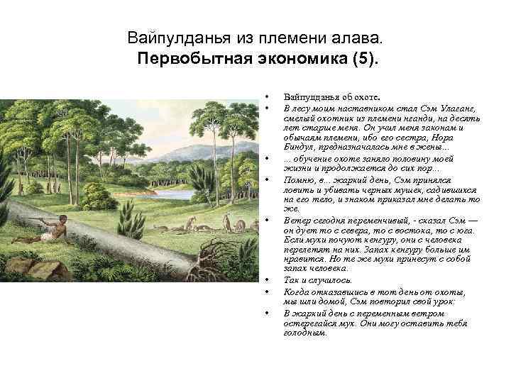 Вайпулданья из племени алава. Первобытная экономика (5). • • Вайпулданья об охоте. В лесу
