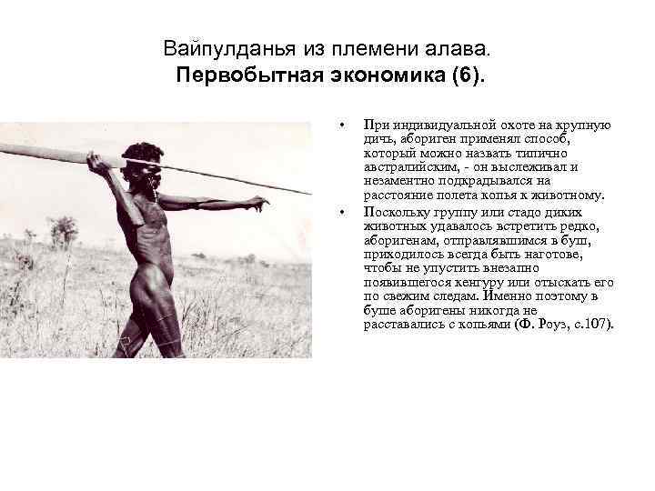 Вайпулданья из племени алава. Первобытная экономика (6). • • При индивидуальной охоте на крупную