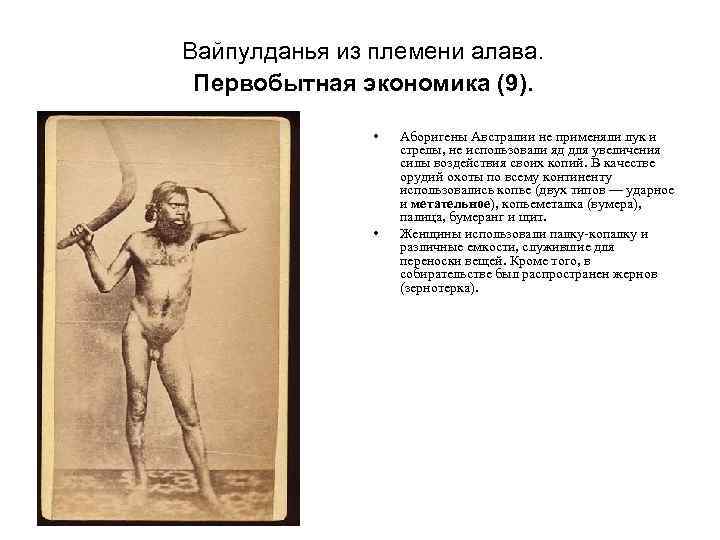 Вайпулданья из племени алава. Первобытная экономика (9). • • Аборигены Австралии не применяли лук