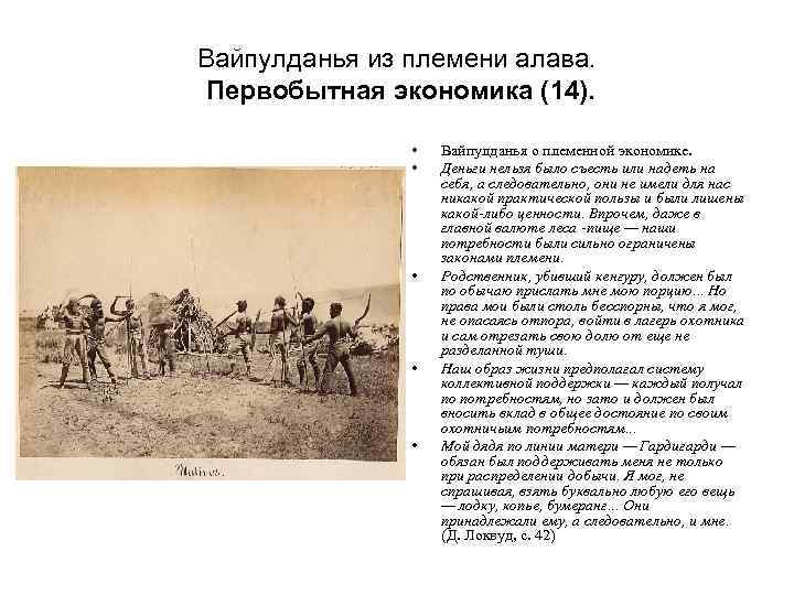 Вайпулданья из племени алава. Первобытная экономика (14). • • • Вайпулданья о племенной экономике.