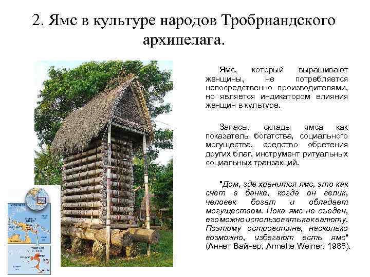 2. Ямс в культуре народов Тробриандского архипелага. Ямс, который выращивают женщины, не потребляется непосредственно