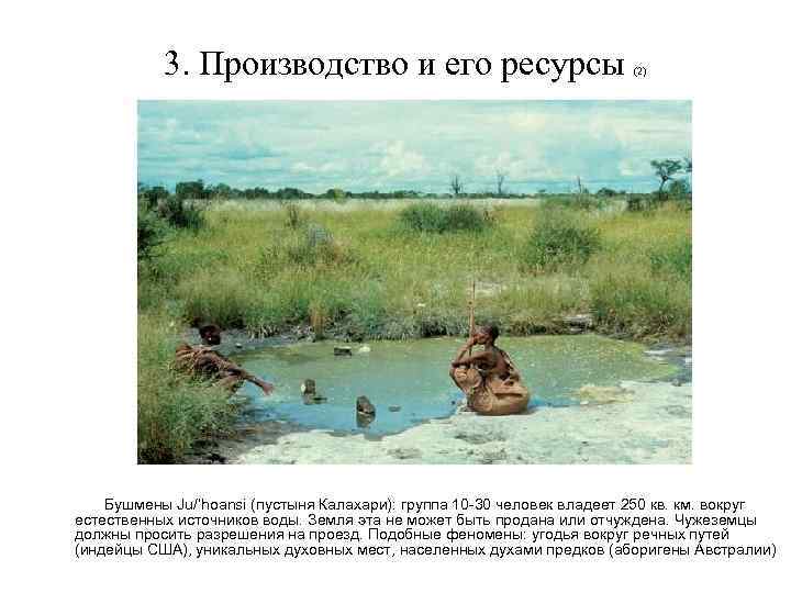 3. Производство и его ресурсы (2) Бушмены Ju/’hoansi (пустыня Калахари): группа 10 -30 человек