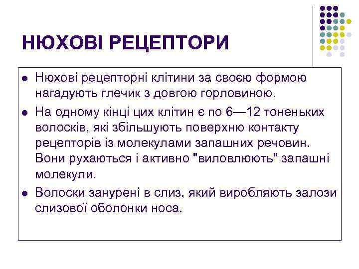 НЮХОВІ РЕЦЕПТОРИ l l l Нюхові рецепторні клітини за своєю формою нагадують глечик з