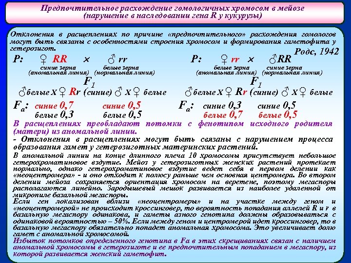 Предпочтительное расхождение гомологичных хромосом в мейозе (нарушение в наследовании гена R у кукурузы) Отклонения