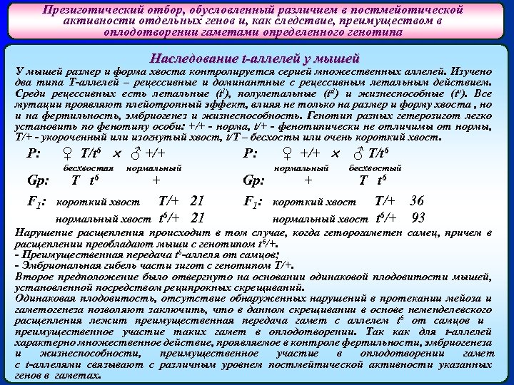 Презиготический отбор, обусловленный различием в постмейотической активности отдельных генов и, как следствие, преимуществом в