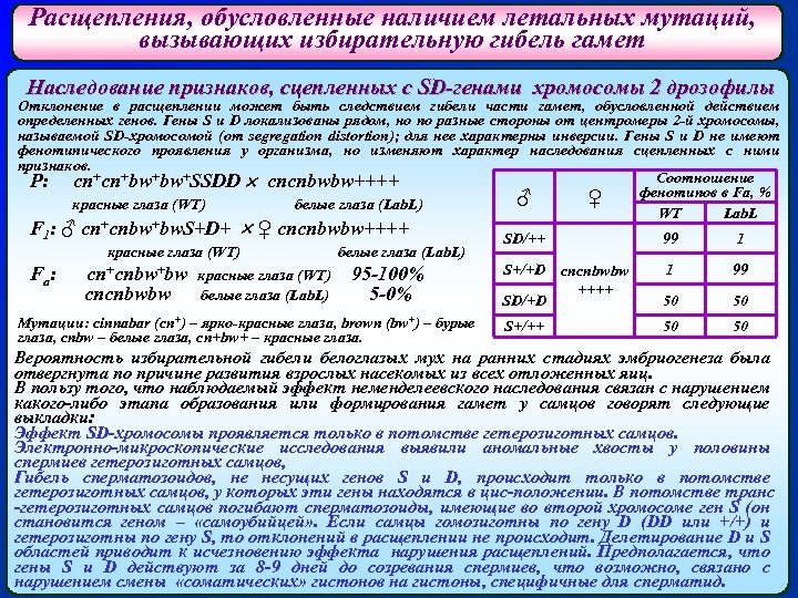 Расщепления, обусловленные наличием летальных мутаций, вызывающих избирательную гибель гамет Наследование признаков, сцепленных с SD-генами