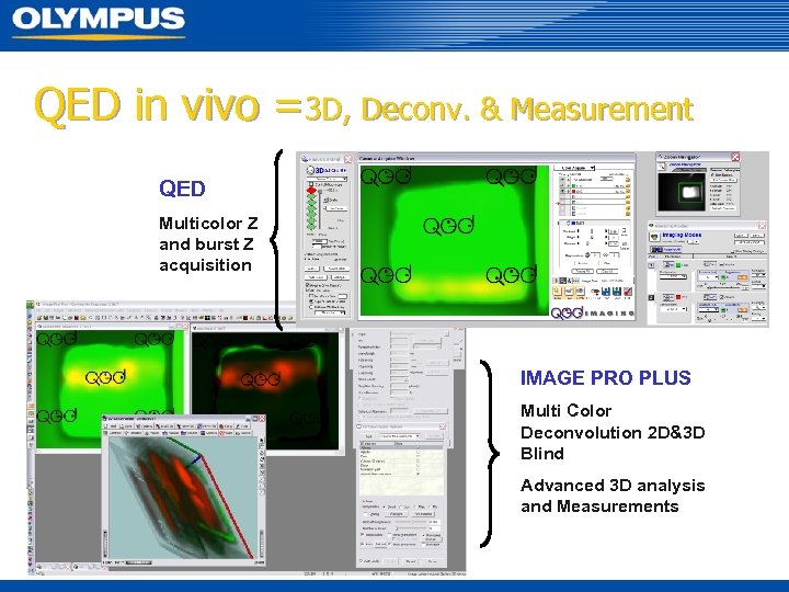 QED in vivo =3 D, Deconv. & Measurement QED Multicolor Z and burst Z