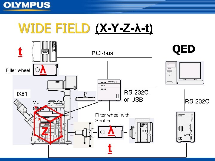 WIDE FIELD (X-Y-Z-λ-t) t Filter wheel QED PCI-bus λ RS-232 C or USB IX