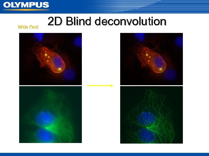 Wide field 2 D Blind deconvolution 