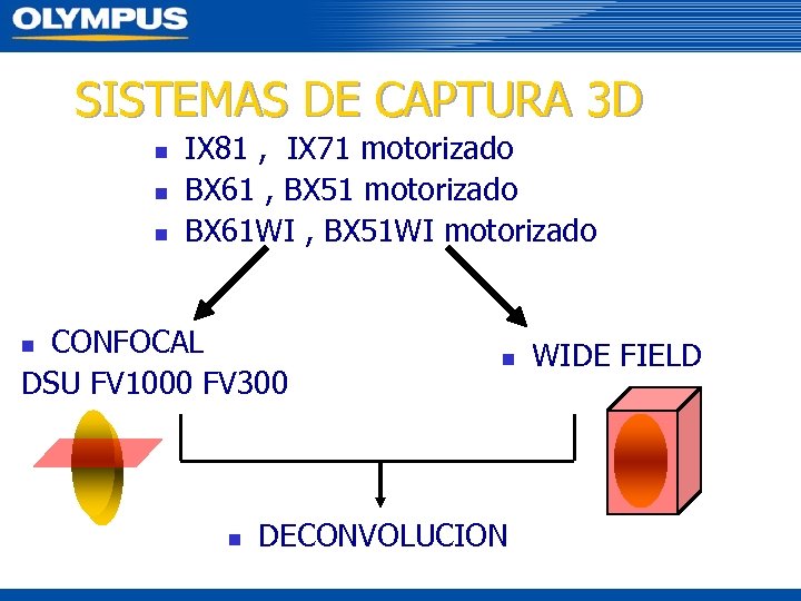 SISTEMAS DE CAPTURA 3 D n n n IX 81 , IX 71 motorizado