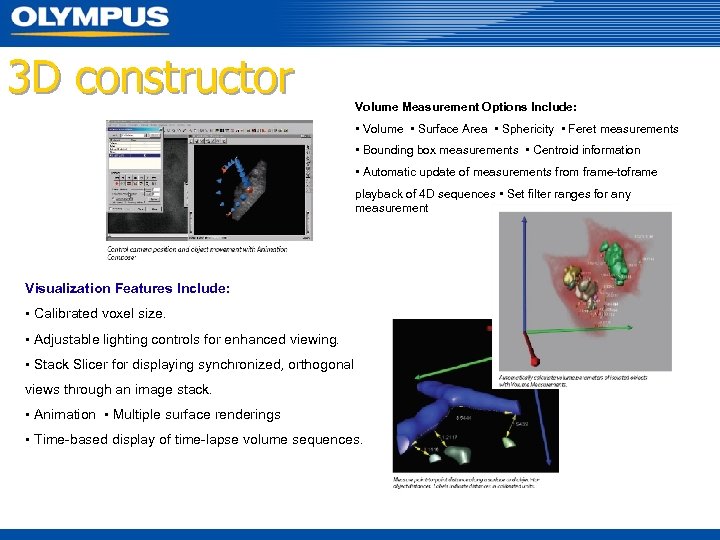 3 D constructor Volume Measurement Options Include: • Volume • Surface Area • Sphericity