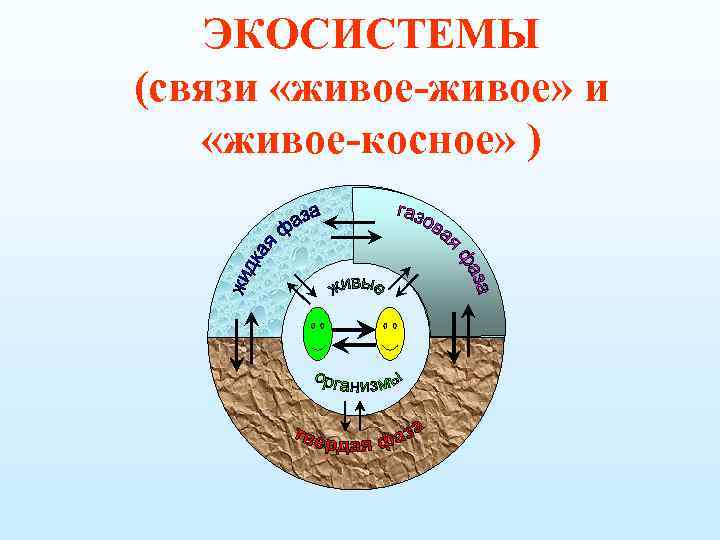 ЭКОСИСТЕМЫ (связи «живое-живое» и «живое-косное» ) 
