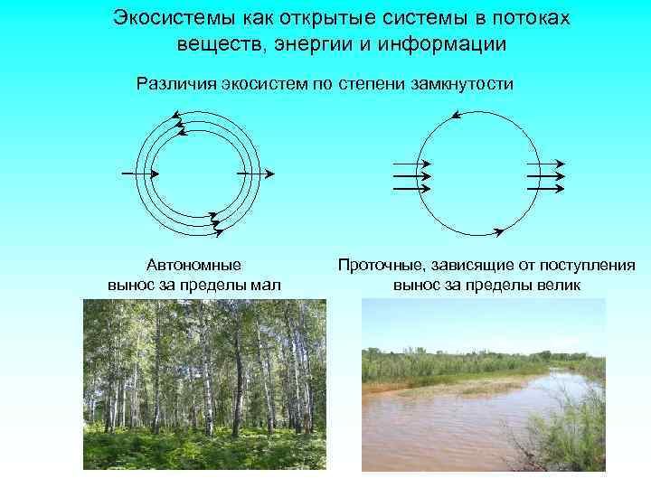 Экосистемы как открытые системы в потоках веществ, энергии и информации Различия экосистем по степени