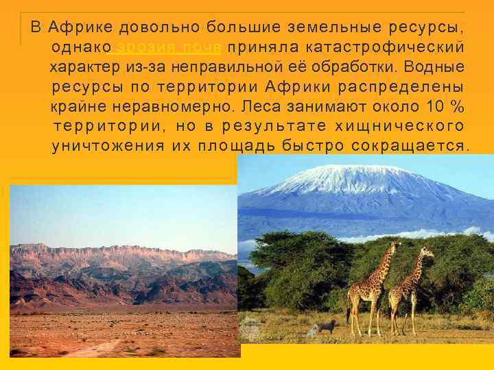 В Африке довольно большие земельные ресурсы, однако эрозия почв приняла катастрофический характер из-за неправильной