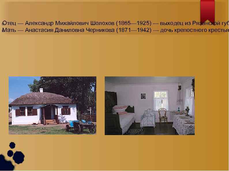 Отец — Александр Михайлович Шолохов (1865— 1925) — выходец из Рязанской губ Мать —