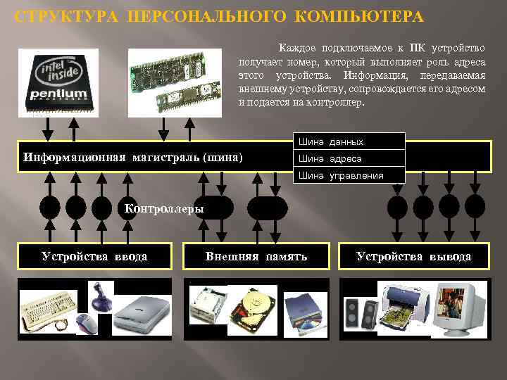 СТРУКТУРА ПЕРСОНАЛЬНОГО КОМПЬЮТЕРА Каждое подключаемое к ПК устройство получает номер, который выполняет роль адреса