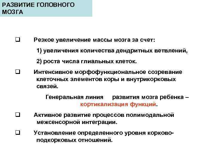 РАЗВИТИЕ ГОЛОВНОГО МОЗГА q Резкое увеличение массы мозга за счет: 1) увеличения количества дендритных