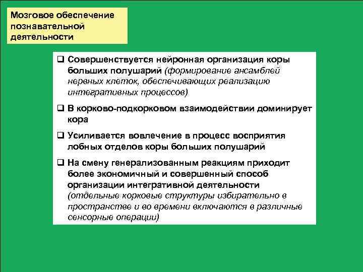 Мозговое обеспечение познавательной деятельности q Совершенствуется нейронная организация коры больших полушарий (формирование ансамблей нервных