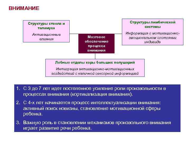 ВНИМАНИЕ Структуры ствола и таламуса Структуры лимбической системы Активационные влияния Информация о мотивационноэмоциональном состоянии