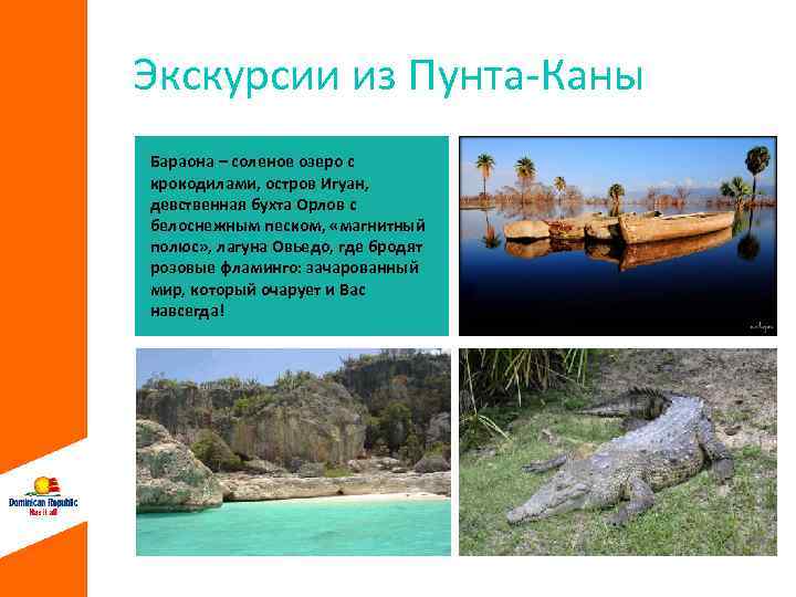 Экскурсии из Пунта-Каны Бараона – соленое озеро с крокодилами, остров Игуан, девственная бухта Орлов