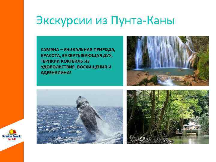 Экскурсии из Пунта-Каны САМАНА – УНИКАЛЬНАЯ ПРИРОДА, КРАСОТА, ЗАХВАТЫВАЮЩАЯ ДУХ, ТЕРПКИЙ КОКТЕЙЛЬ ИЗ УДОВОЛЬСТВИЯ,