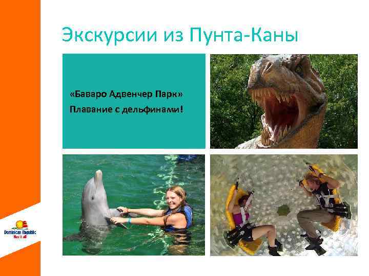 Экскурсии из Пунта-Каны «Баваро Адвенчер Парк» Плавание с дельфинами! 