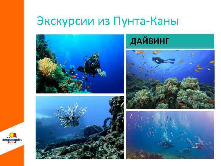 Экскурсии из Пунта-Каны ДАЙВИНГ 