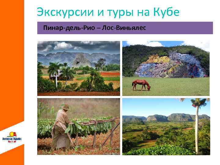 Экскурсии и туры на Кубе Пинар-дель-Рио – Лос-Виньялес 