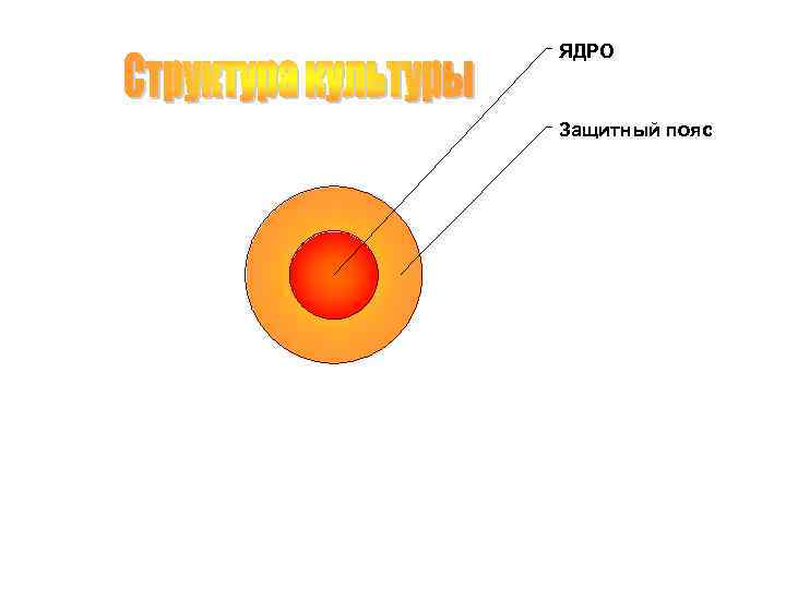 ЯДРО Защитный пояс 