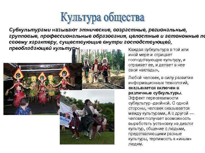 Субкультурами называют этнические, возрастные, региональные, групповые, профессиональные образования, целостные и автономные по своему характеру,