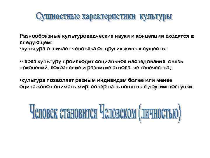 Разнообразные культуроведческие науки и концепции сходятся в следующем: • культура отличает человека от других