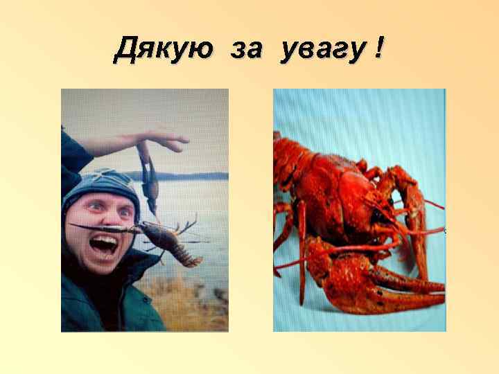 Дякую за увагу ! 