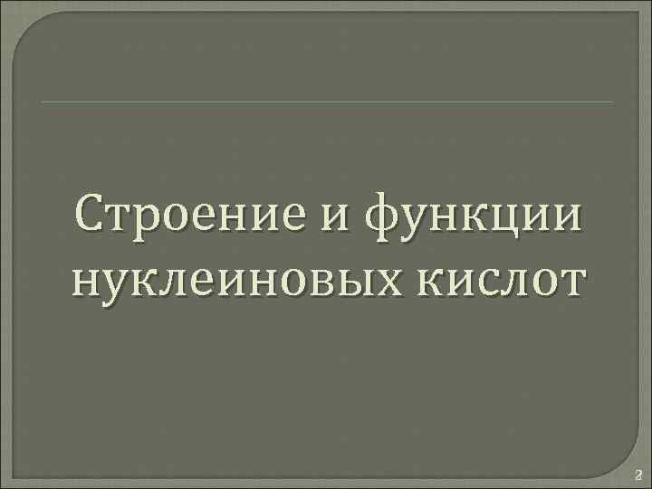 Строение и функции нуклеиновых кислот 2 