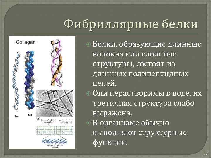 Фибриллярные белки примеры