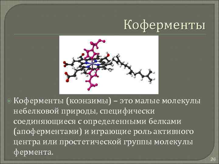 Взаимодействие белок белок ферменты