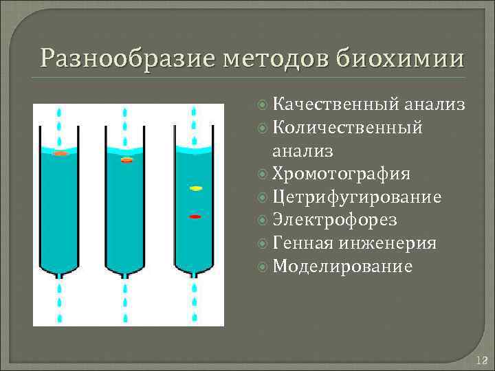 Разнообразие методов биохимии Качественный анализ Количественный анализ Хромотография Цетрифугирование Электрофорез Генная инженерия Моделирование 12