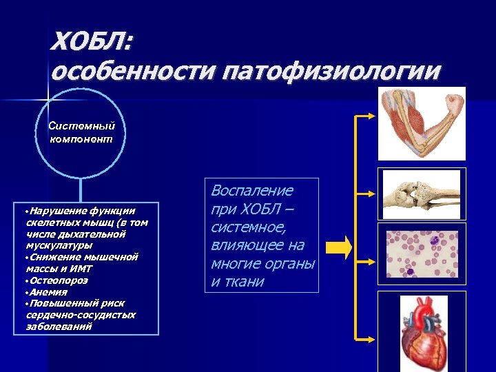 ХОБЛ: особенности патофизиологии Системный компонент • Нарушение функции скелетных мышц (в том числе дыхательной