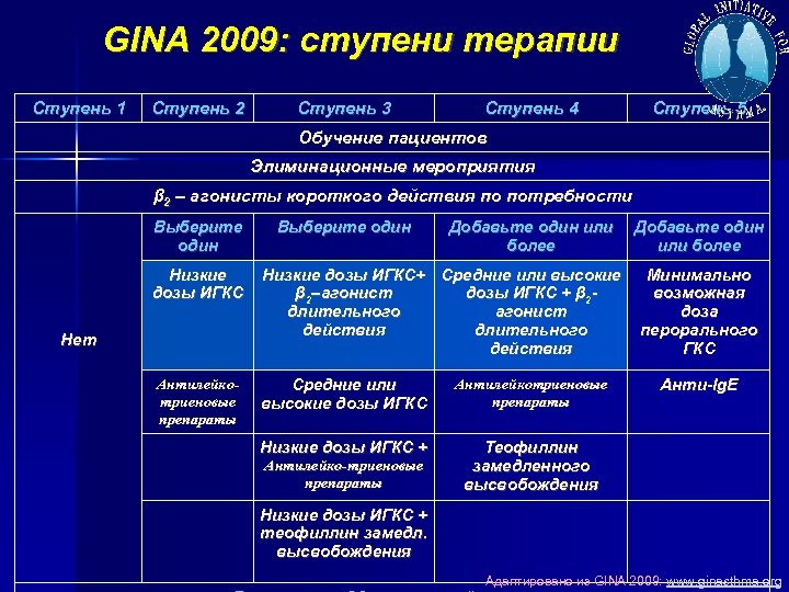 GINA 2009: ступени терапии Ступень 1 Ступень 2 Ступень 3 Ступень 4 Ступень 5