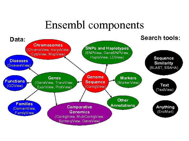Ensembl components Search tools: Data: Chromosomes (Chromo. View, Karyo. View, Cyto. View, Map. View)
