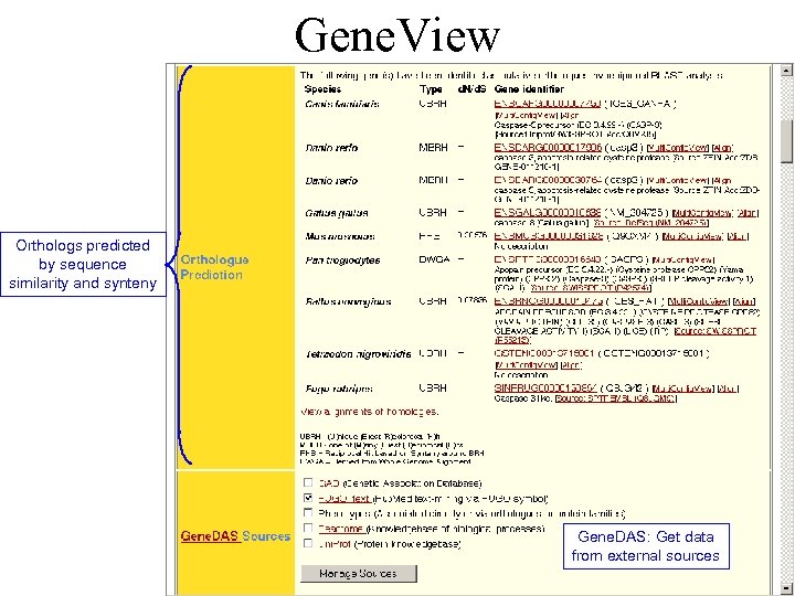 Gene. View Orthologs predicted by sequence similarity and synteny Gene. DAS: Get data from