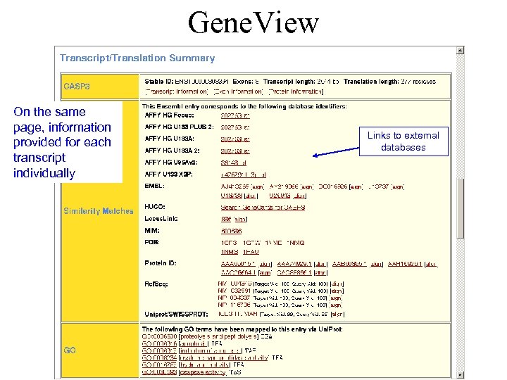 Gene. View On the same page, information provided for each transcript individually Links to