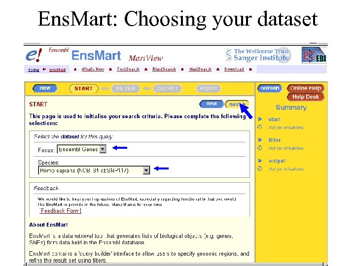 Ens. Mart: Choosing your dataset 