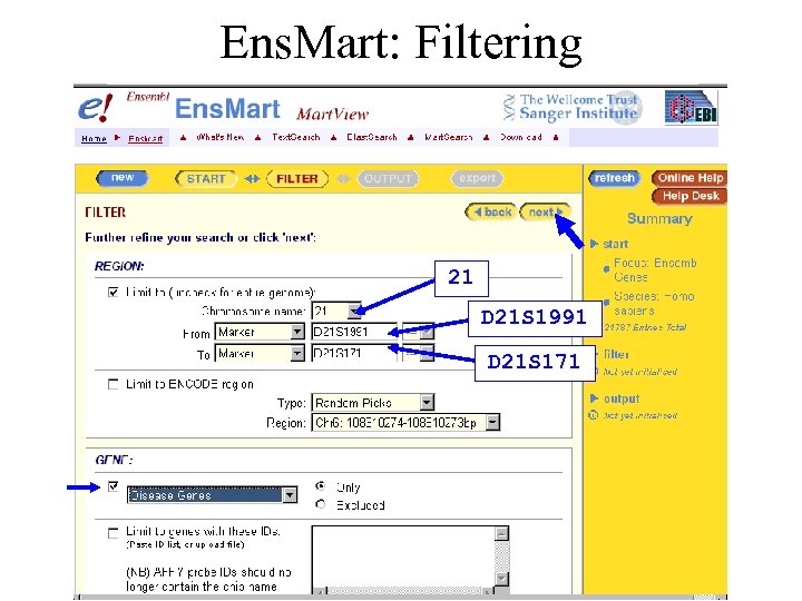 Ens. Mart: Filtering 21 D 21 S 1991 D 21 S 171 