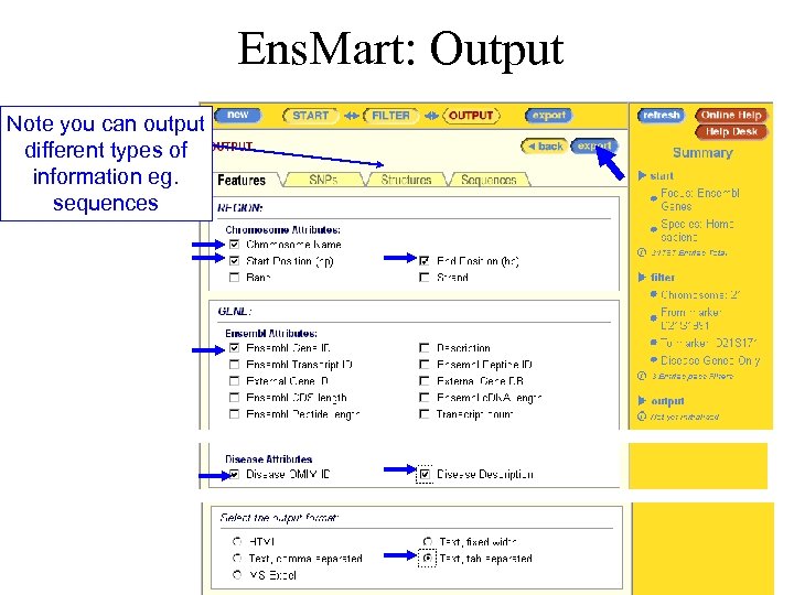 Ens. Mart: Output Note you can output different types of information eg. sequences 