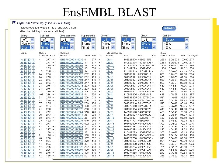 Ens. EMBL BLAST 
